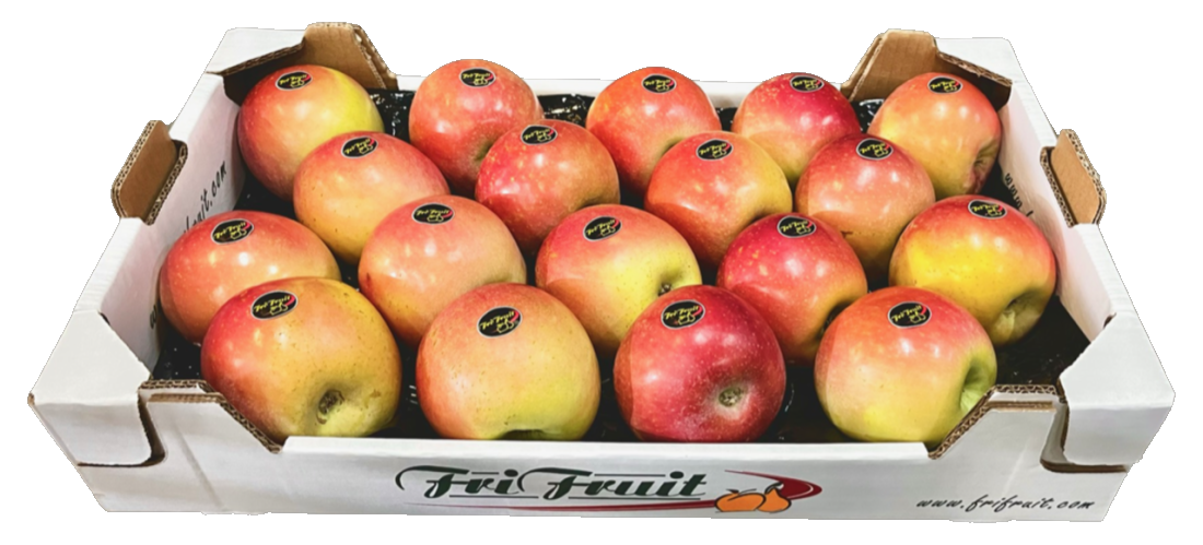 Frifruit S.A.T. - imagen 2