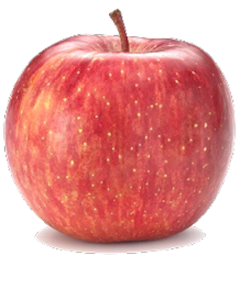 Frifruit S.A.T. - imagen 1