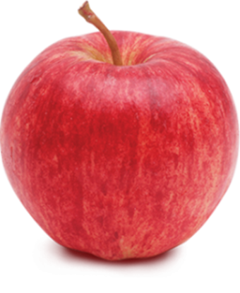 Frifruit S.A.T. - imagen 1