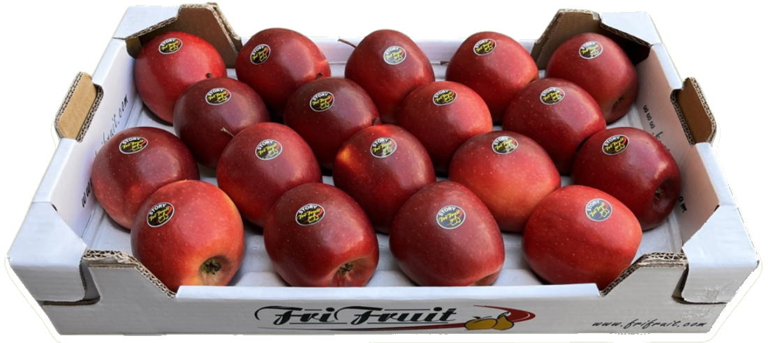 Frifruit S.A.T. - imagen 2