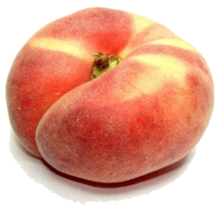 Melocotones Frifruit - imagen 2