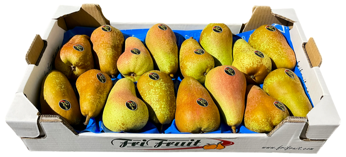 Frifruit S.A.T. - imagen 2