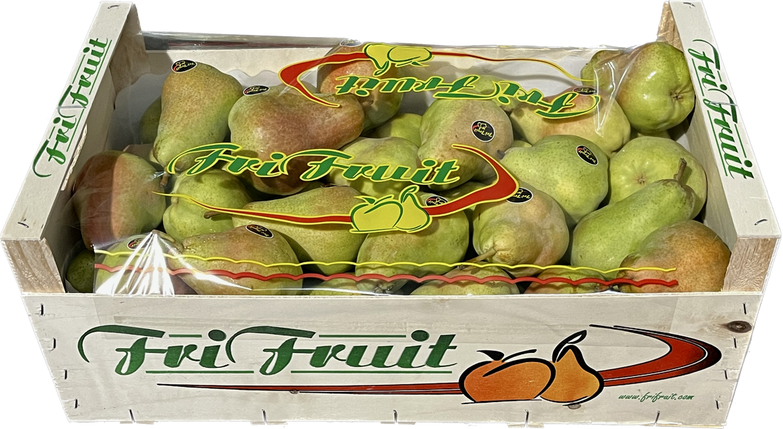 Frifruit S.A.T. - imagen 2