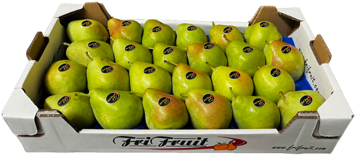 Frifruit S.A.T. - imagen 2