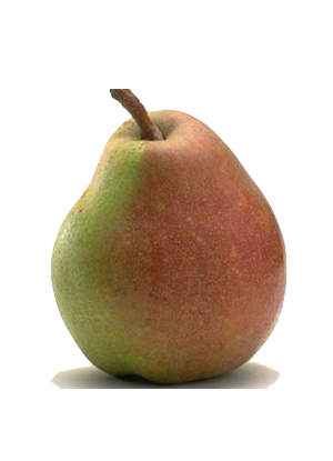 Frifruit S.A.T. - imagen 1