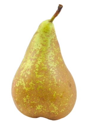 Frifruit S.A.T. - imagen 1