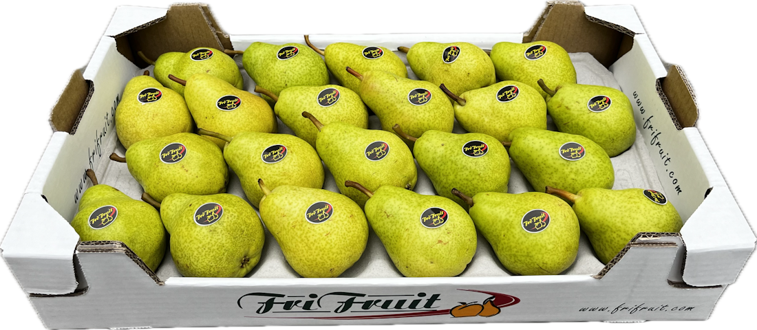 Frifruit S.A.T. - imagen 2