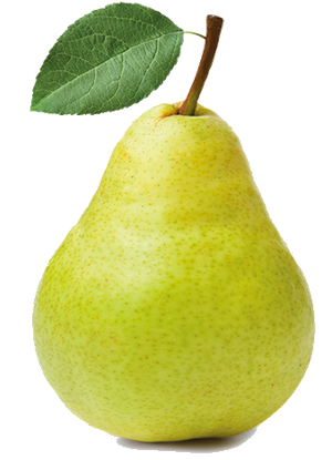 Frifruit S.A.T. - imagen 1